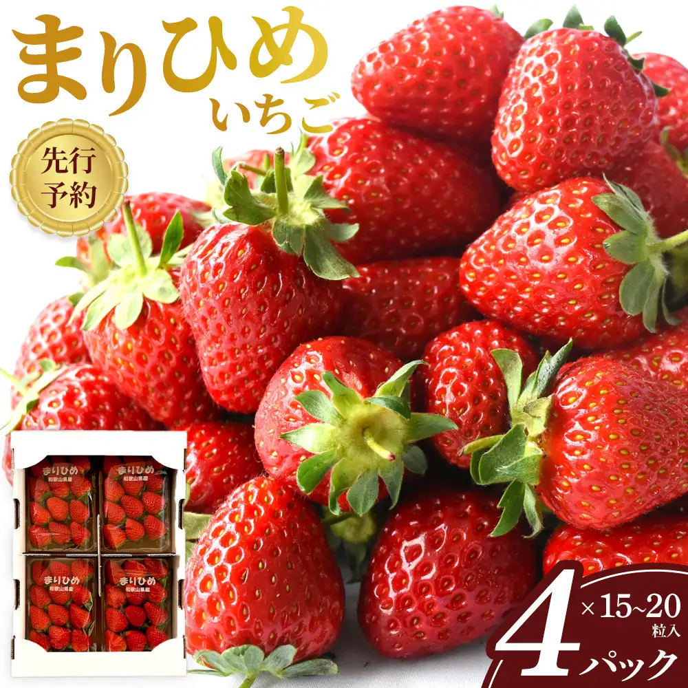 先行予約 まりひめいちご 15～20粒入×4パック 食べやすいひと口サイズ こだわり 農家厳選 ［KG32］