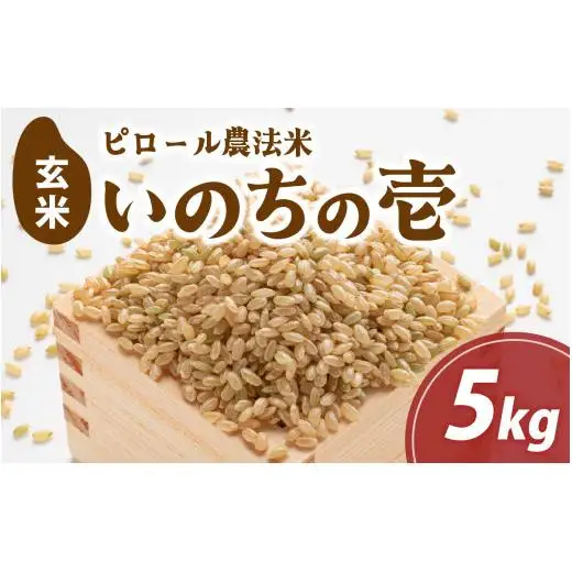 富山県滑川市産　弱アルカリ性米　「ピロール農法米　いのちの壱」玄米5kg【2025年10月中旬より順次発送】 / 産地直送 袋 ブランド米 お米 米 ご飯 ごはん 富山 滑川市 アグリめぐみ 農家直送 おこめ