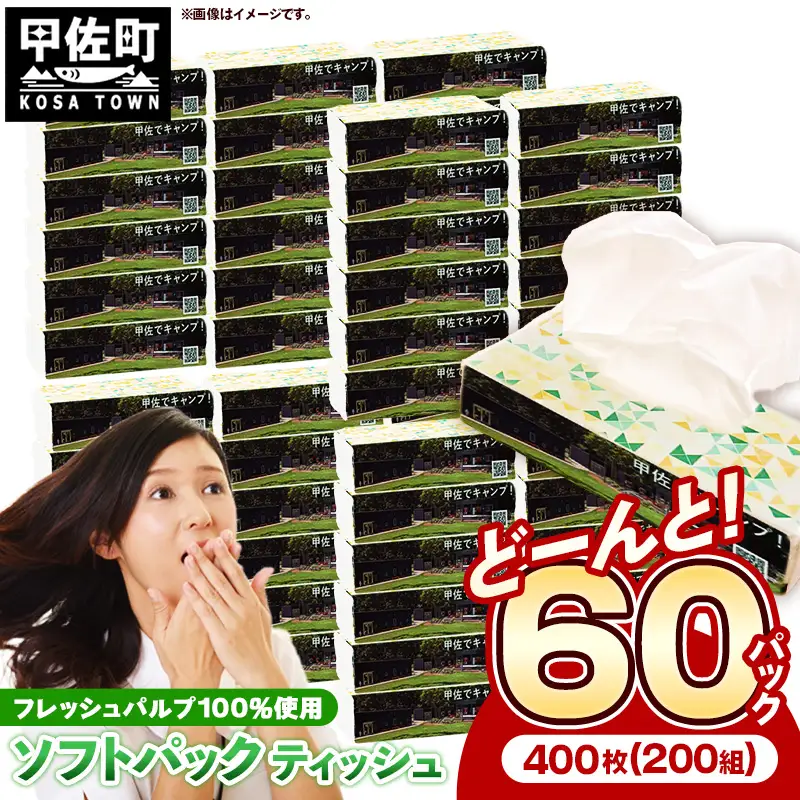 ティッシュペーパーソフトパック 400枚（200組）60パック