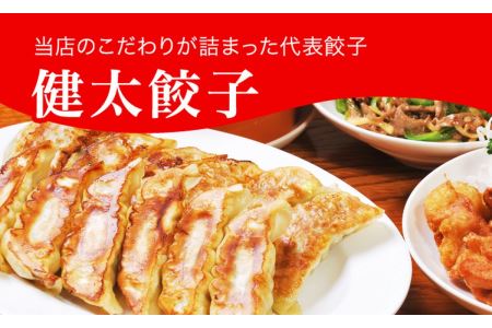 「宇都宮餃子館」健太餃子 960g（48個）≪冷凍餃子 冷凍食品 ギョーザ グルメ 食品 惣菜 中華惣菜 点心 中華≫