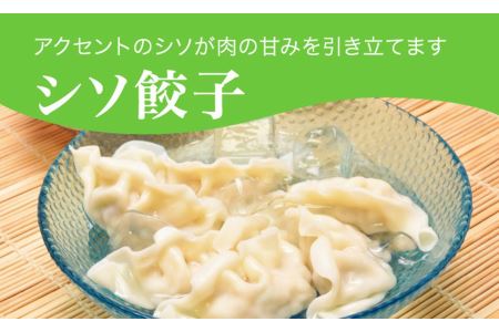 「宇都宮餃子館」シソ餃子 960ｇ（４８個）≪ギョーザ 冷凍餃子 冷凍食品 グルメ 食品 惣菜 中華惣菜 点心 中華≫◇