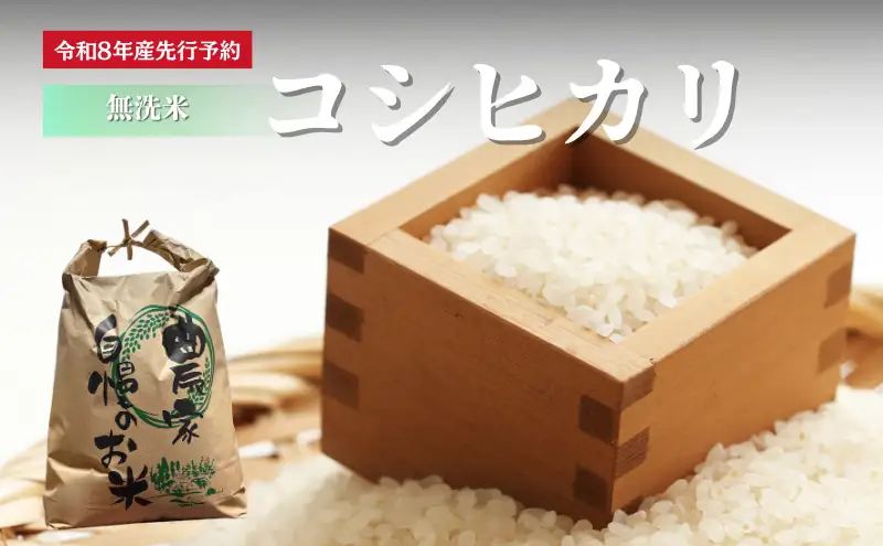 無洗米 コシヒカリ 10kg 米 お米 京都丹波産 無洗米