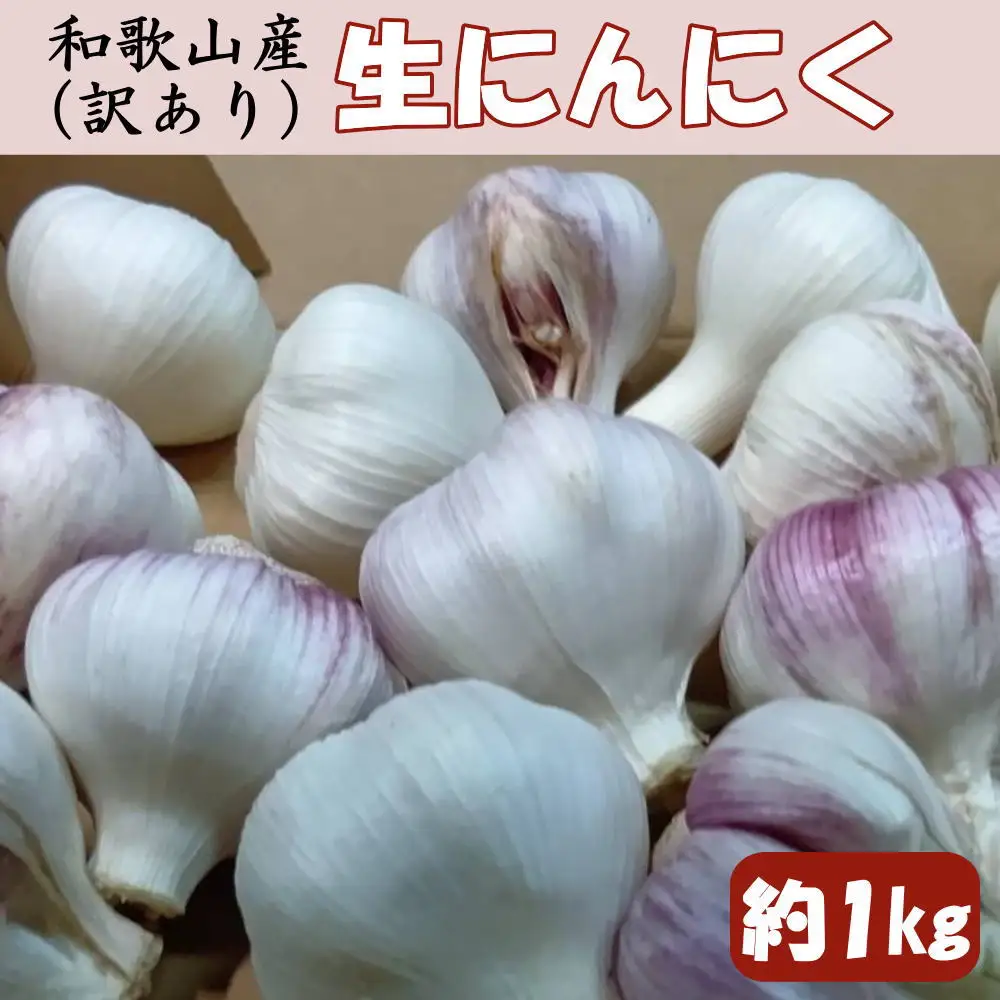 和歌山県産生にんにく約1kg　ご家庭用 / 和歌山 ニンニク 【tec986】