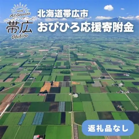 【返礼品なし】帯広市への応援寄附(1口50,000円)