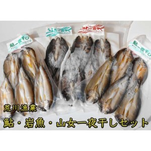 荒川漁業　鮎・岩魚・山女一夜干しセット◇ ≪海鮮 魚介 おつまみ 贈り物 プレゼント ギフト 送料無料≫ ※着日指定不可◇