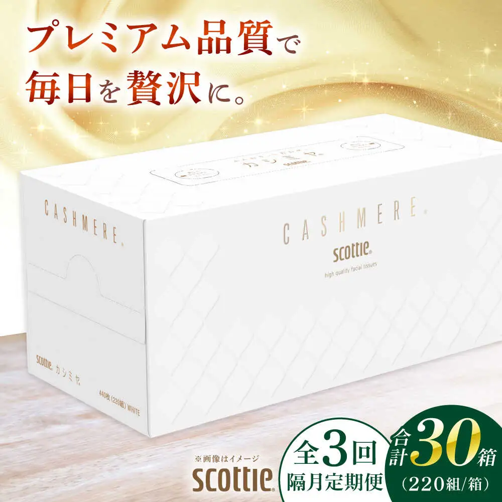 【全3回定期便(2ヵ月に1回)】カシミヤ スコッティ 10箱 ティッシュ ペーパー [BDAM033]