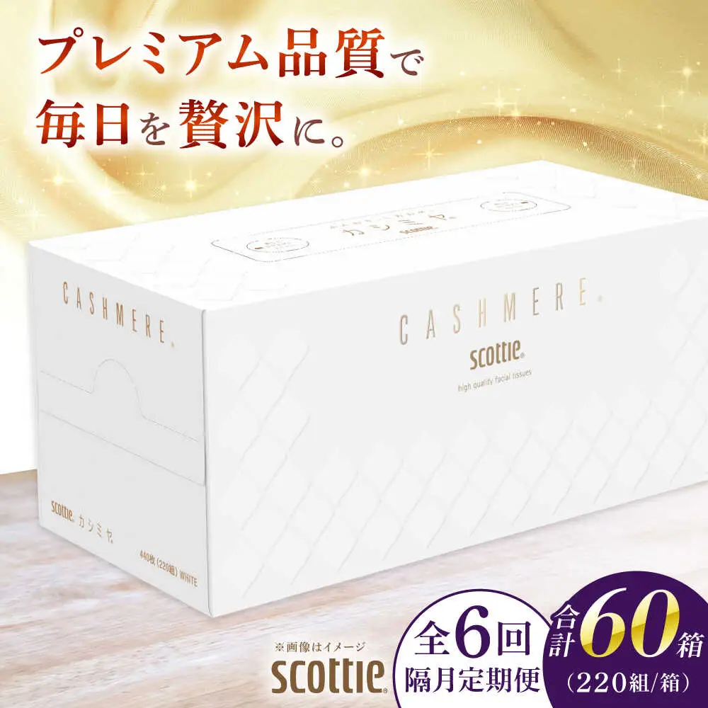 【全6回定期便(2ヵ月に1回)】カシミヤ スコッティ 10箱 ティッシュ ペーパー ティッシュペーパー [BDAM034]