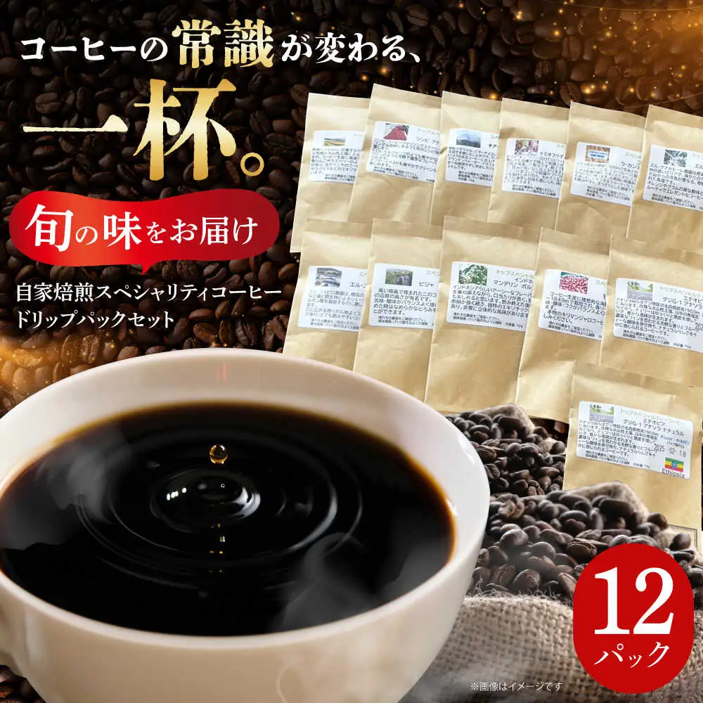自家焙煎スペシャリティコーヒー ドリップパックセット(12パック) / 諫早市 /R and R coffee labo [AHCJ049]