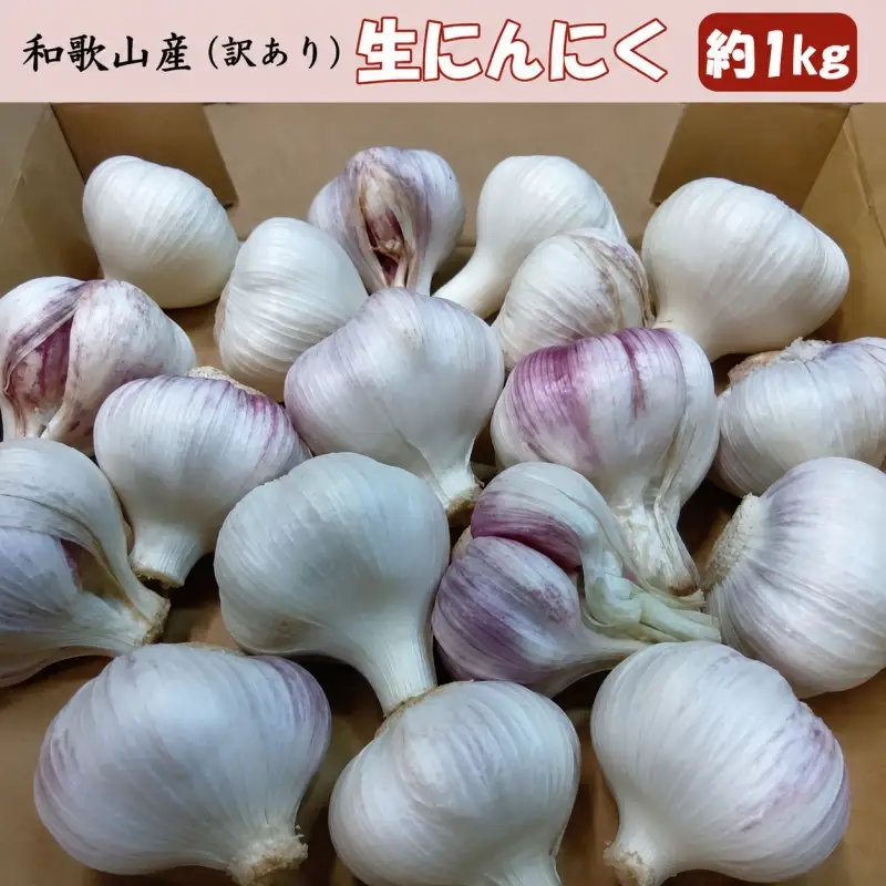 和歌山県産 生にんにく 約1kg　ご家庭用 / 和歌山 ニンニク ※2027年4月下旬～5月中旬頃に順次発送【tec403-c-1】