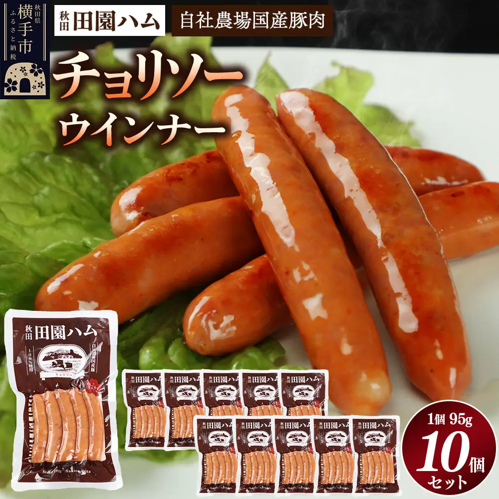 田園ハム チョリソー 95g×10個セット