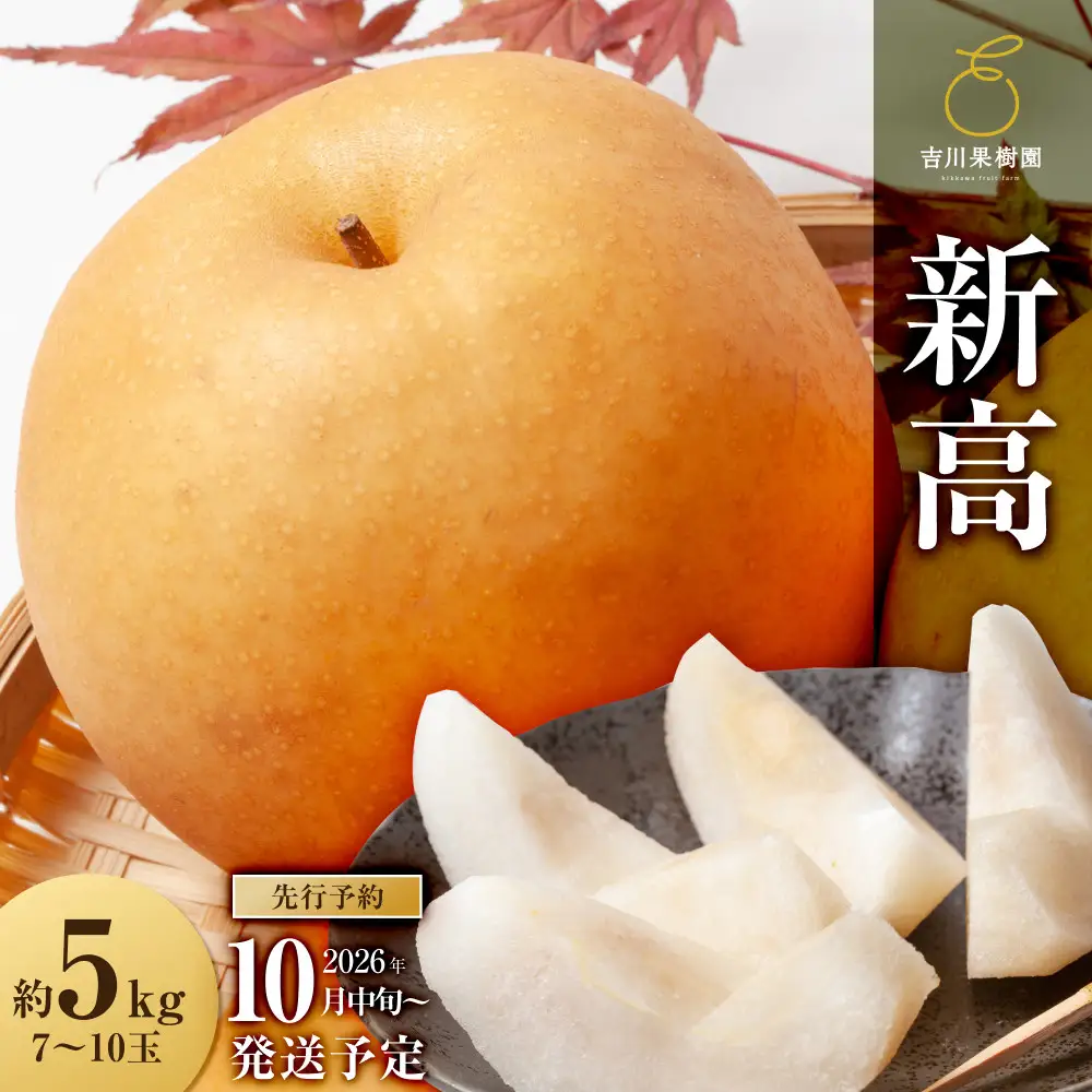 【2026年分】 梨 新高　約５kg（7～9玉）10月中旬～順次発送【吉川果樹園】 ｜ 梨
