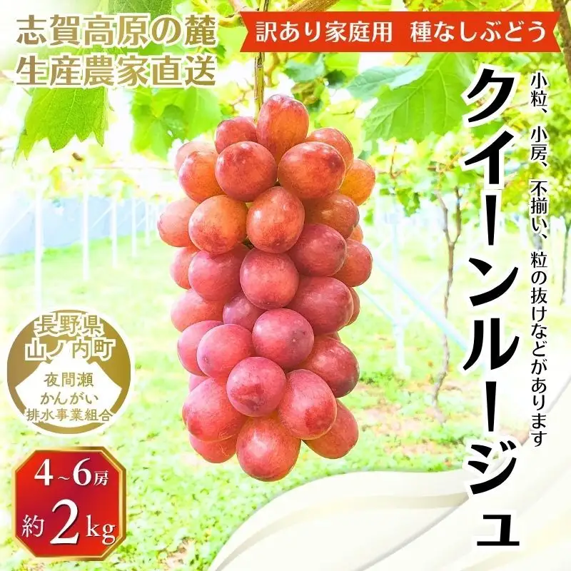 ぶどう 訳あり 家庭用 クイーンルージュ 2kg 4～6房 ぶどう
