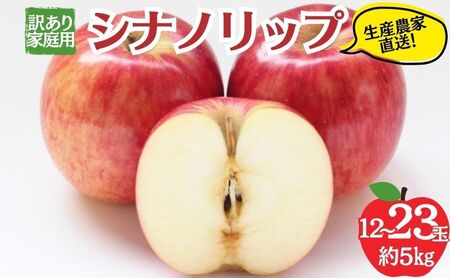りんご シナノリップ 訳あり家庭用 5kg 12～23玉 りんご