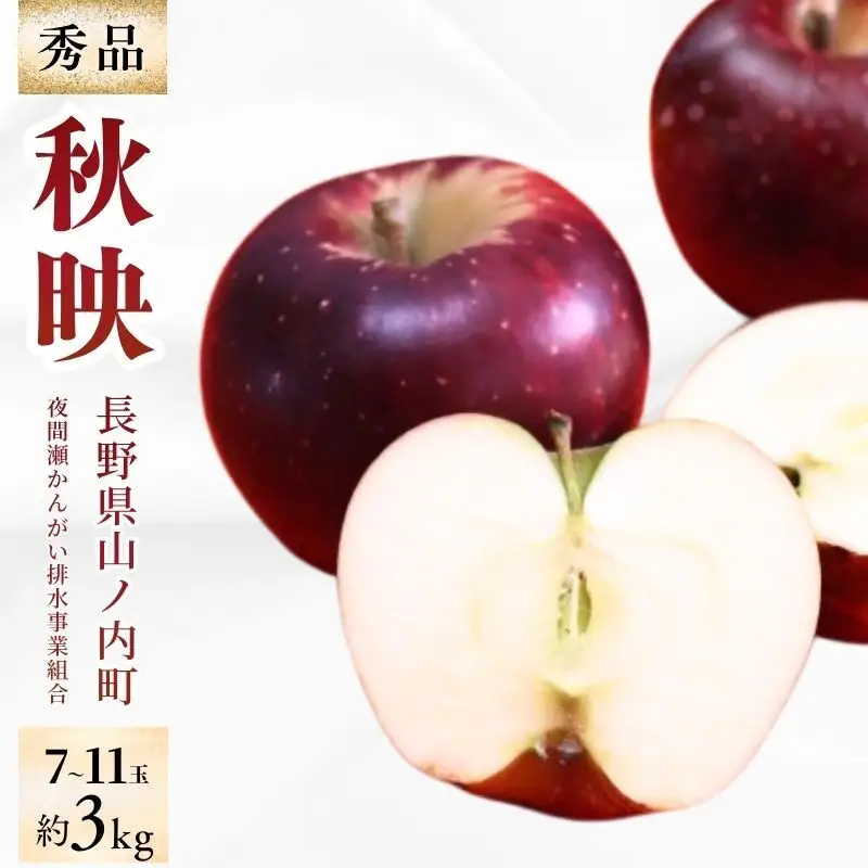 りんご 秋映 秀品 3kg 7～11玉 りんご