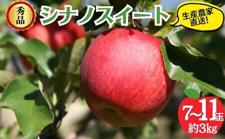 りんご シナノスイート 秀品 3kg 7～11玉 りんご