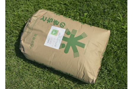 喜連川コシヒカリ　杉之内農産　10Kｇ玄米　≪令和6年産 米 栃木県産 送料無料≫