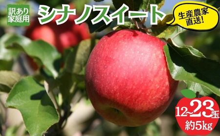 りんご シナノスイート 訳あり 家庭用 5kg 12～23玉 りんご