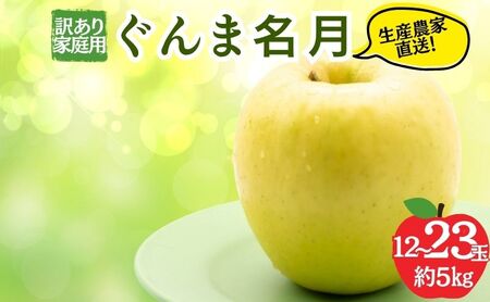 りんご 訳あり 家庭用 ぐんま名月 5kg 12～23玉 りんご