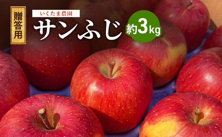 りんご 贈答用 葉とらず サンふじ 3kg りんご
