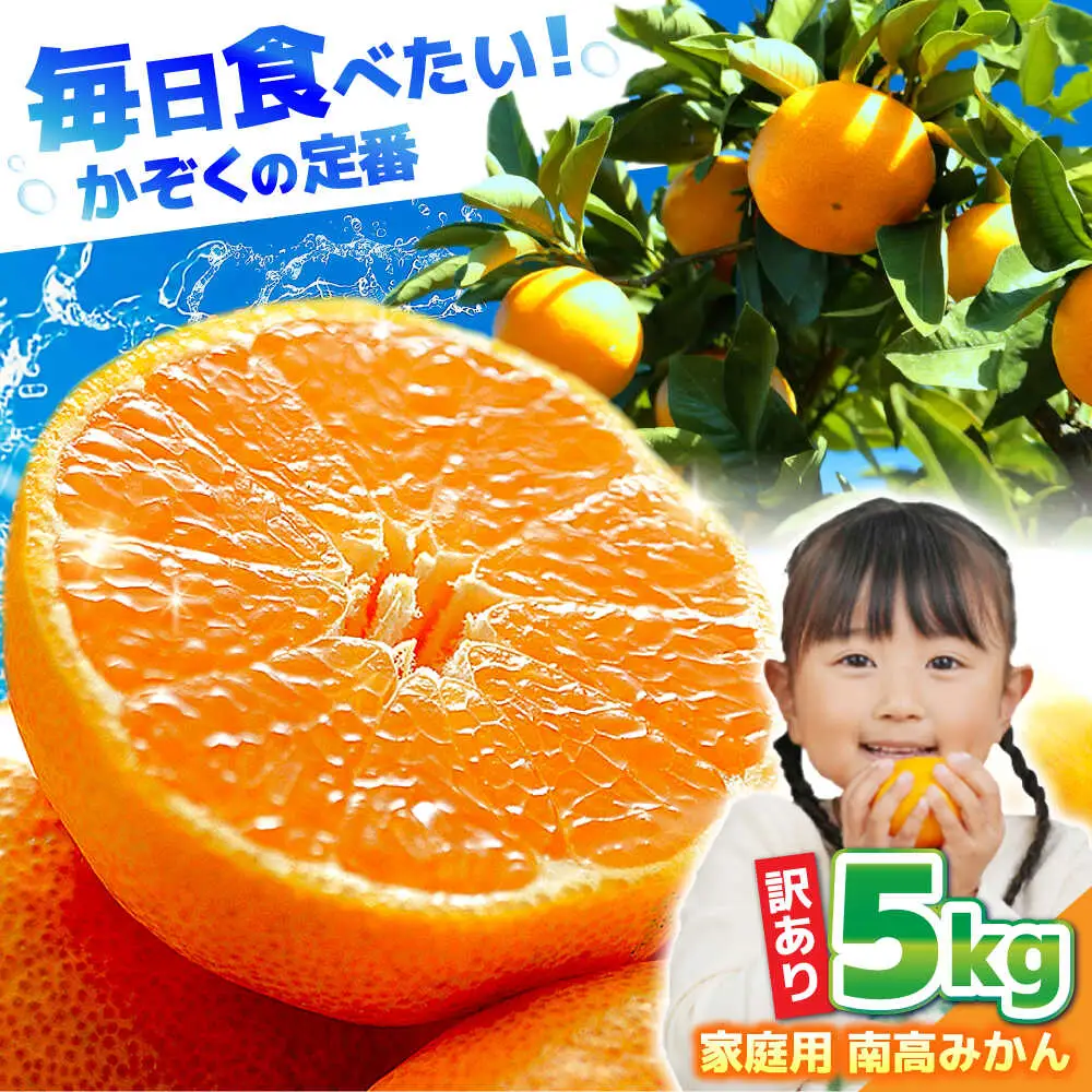 【2026年12月中旬-発送】【訳あり】家庭用 南高みかん 5kg / みかん ミカン 蜜柑 果物 フルーツ / 南島原市 / 南高果樹農業協同組合[SGI001]