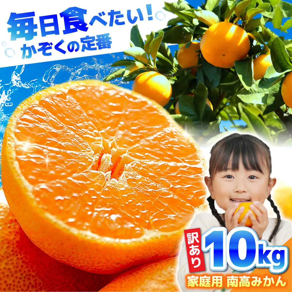 【2026年12月中旬-発送】【訳あり】家庭用 南高みかん 10kg / みかん ミカン 蜜柑 果物 フルーツ / 南島原市 / 南高果樹農業協同組合[SGI002]
