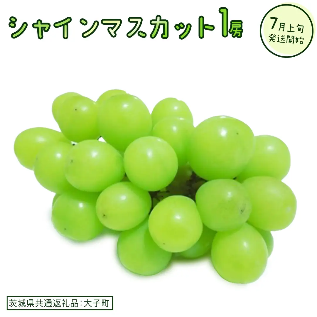 シャインマスカット １房(茨城県共通返礼品：大子町)