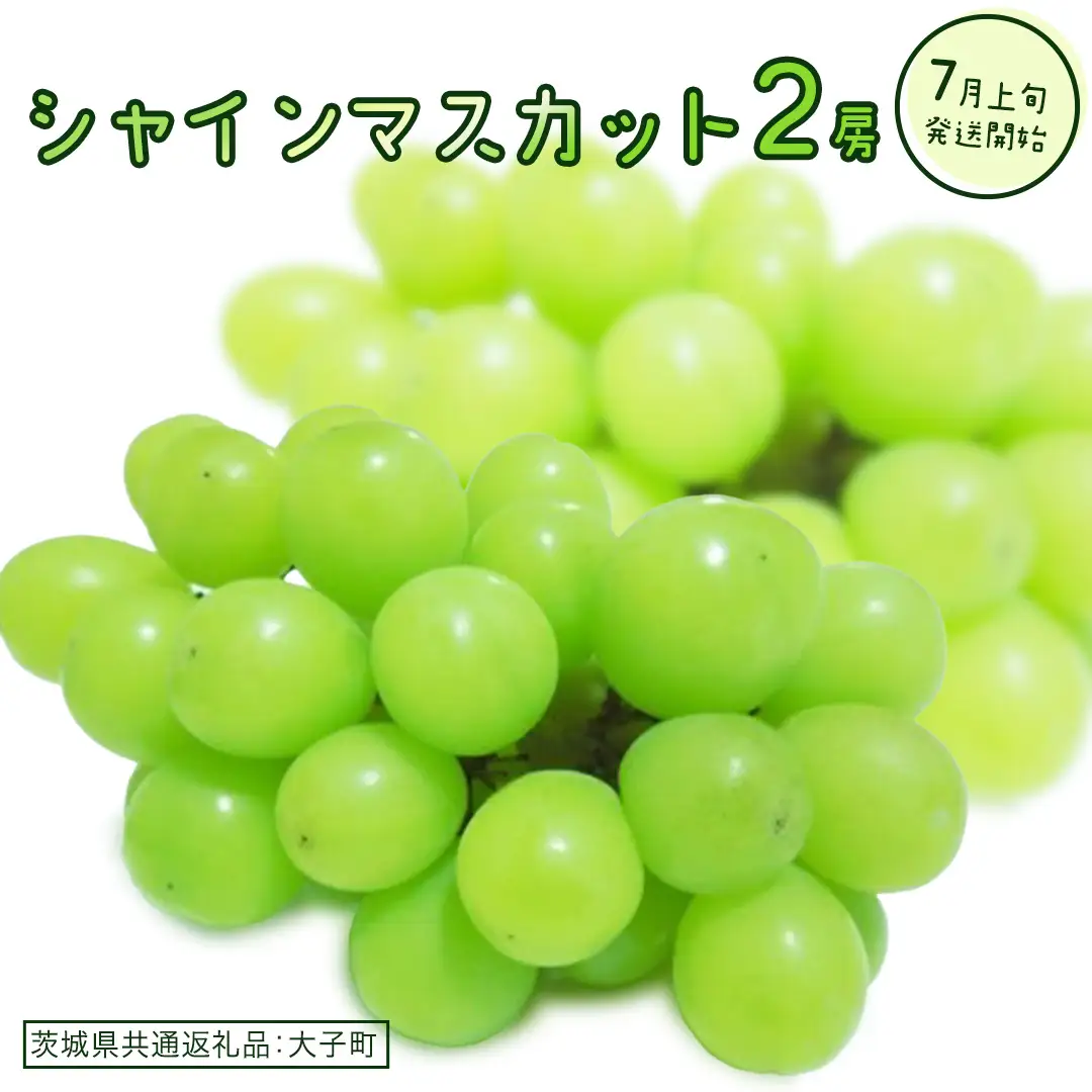 シャインマスカット ２房(茨城県共通返礼品：大子町)