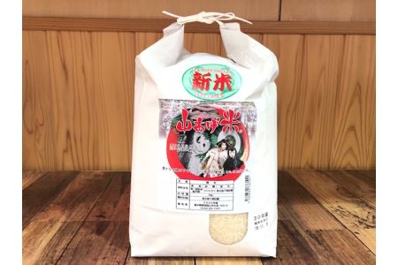38-1　山あげ米１０㎏（精米）