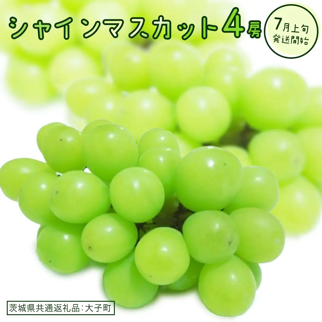 シャインマスカット ４房(茨城県共通返礼品：大子町) ぶどう 葡萄 ブドウ マスカット フルーツ 果物 スイーツ