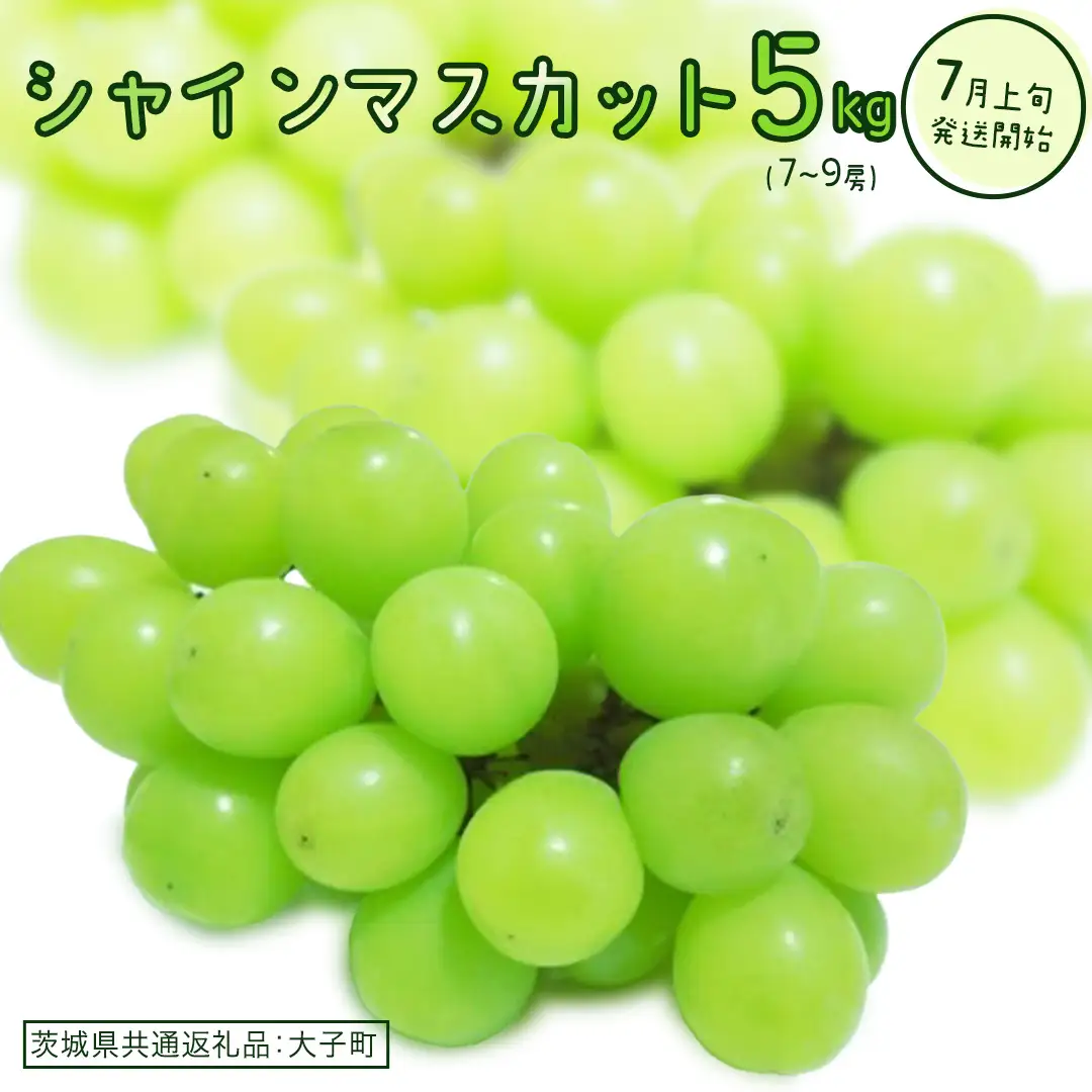 シャインマスカット 5kg (7～9房)(茨城県共通返礼品：大子町)