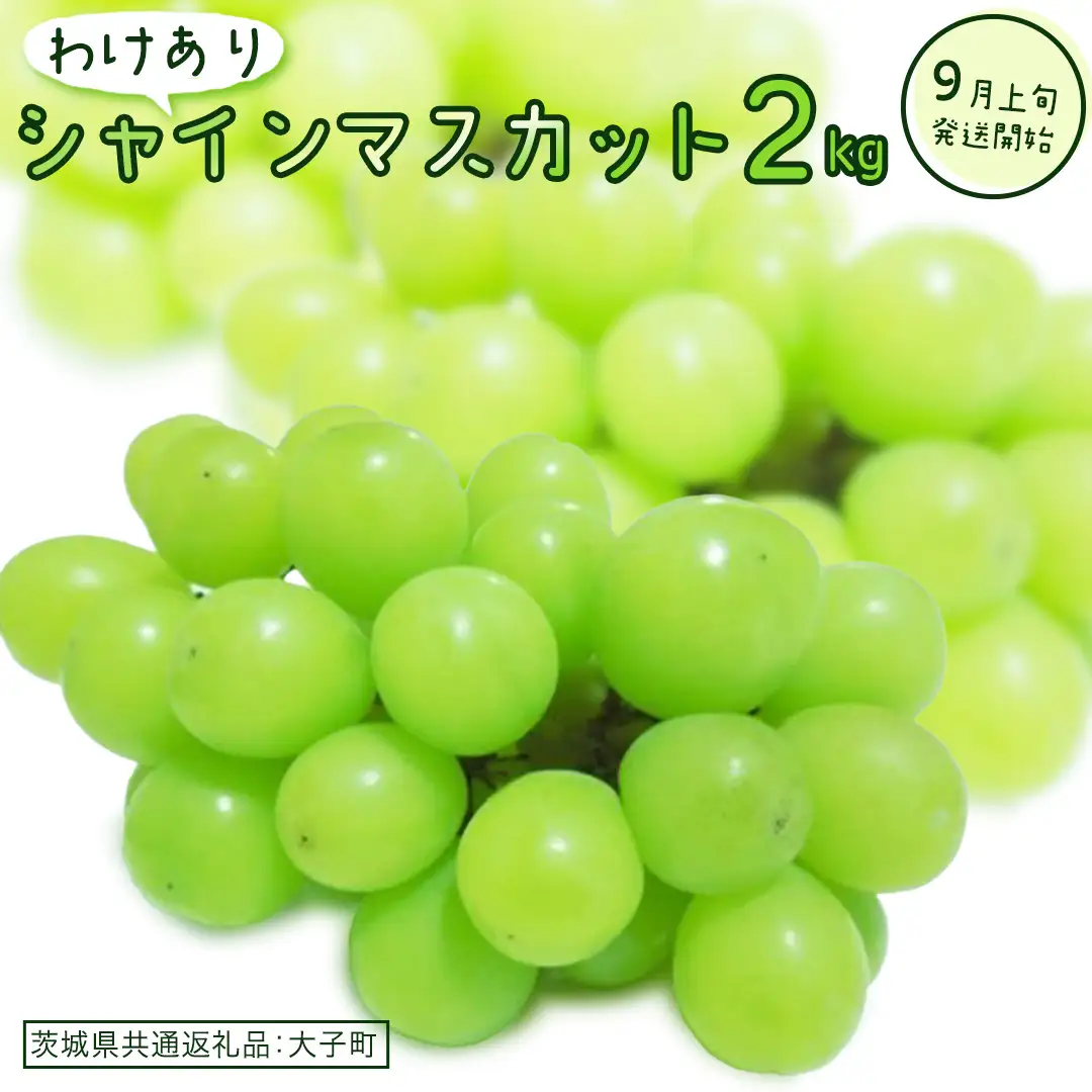 【 訳あり 】 シャインマスカット 2kg 【2026年9月上旬発送開始】(茨城県共通返礼品：大子町)