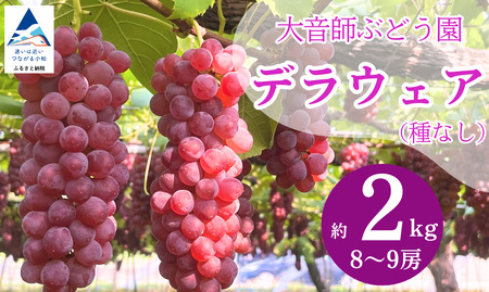 ぶどう デラウェア2kg（8房～9房）大音師ぶどう園 デラウェア デラウェア デラウェア