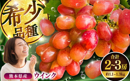 【限定数量】【10月下旬発送開始】ウインク 約1.1kgから1.3kg 合計2から3房 ウインク[BHBO004]
