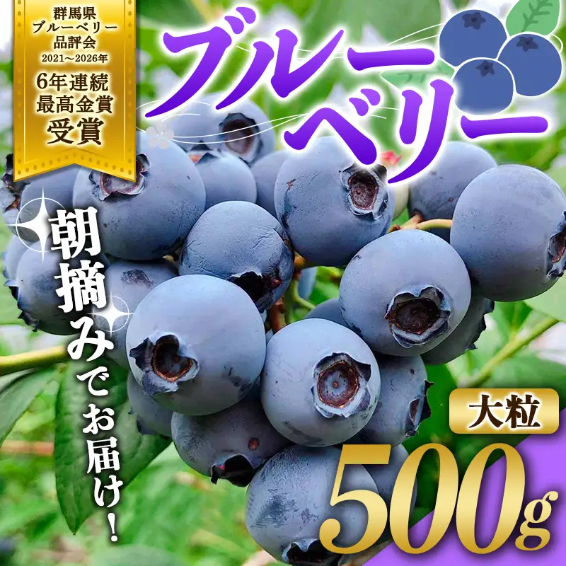 ブルーベリー大粒500g 朝摘みでお届け！【6年連続最高金賞受賞 群馬県ブルーベリー品評会2021~2026年】 大粒 化学農薬不使用 除草剤不使用 フルーツ 果物 F4H-0687