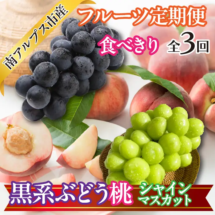 ★先行予約【食べきり】おいしいくだもの3回定期便〈くだもの　フルーツ　桃　巨峰　黒系ぶどう　シャインマスカット　新鮮　農家直送　産地直送　人気　山梨県　南アルプス市　〉ALPAJ057
