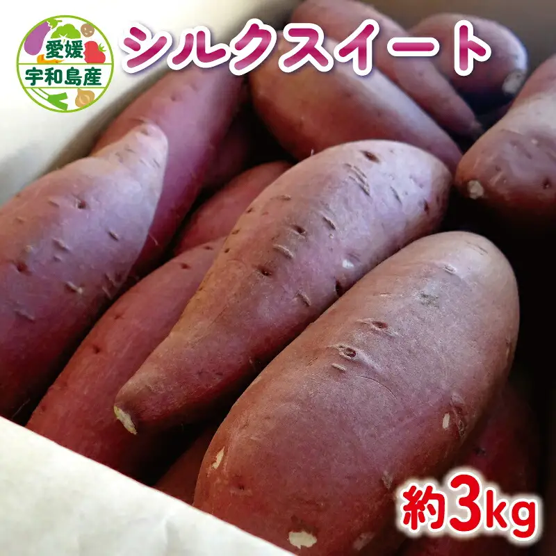 さつまいも シルクスイート 3kg あかだ農園 先行予約 さつま芋 サツマイモ 焼き芋 焼きいも 焼いも おやつ 甘い 野菜 やさい 産地直送 栽培期間中 農薬 不使用 根菜 イモ 芋 農家直送 数量限定 国産 愛媛 宇和島 F010-137003