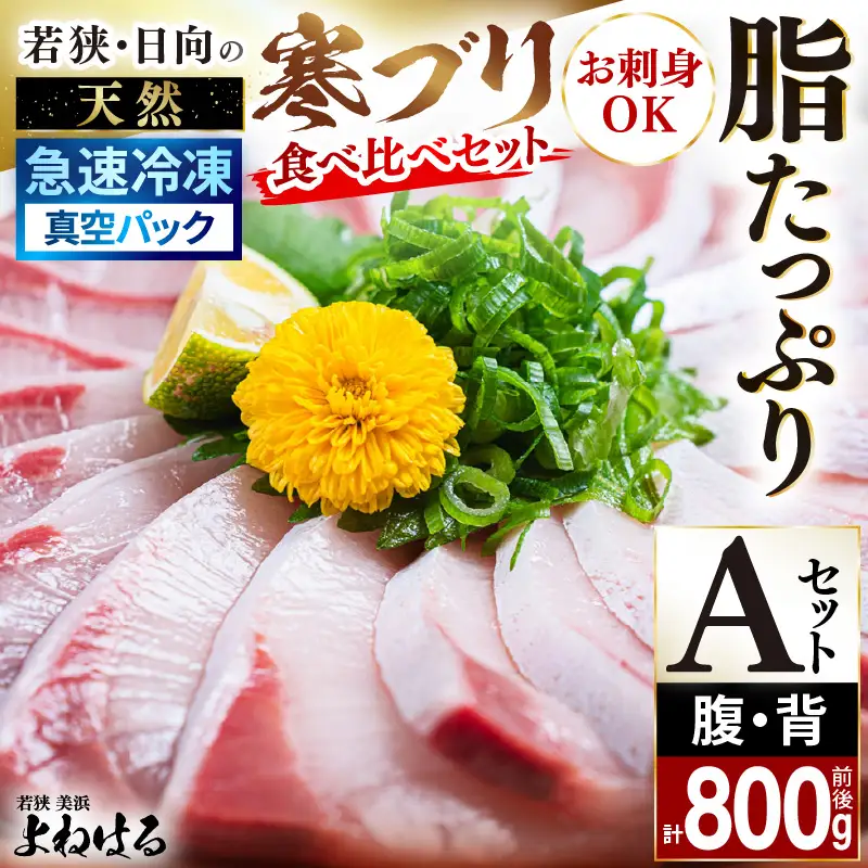 【先行予約】若狭・日向の天然寒ブリ 脂たっぷり 部位ごと食べ比べ  Aセット（腹＋背 計800g前後）【2026年12月下旬以降順次発送】寒ぶり [m17-e004]