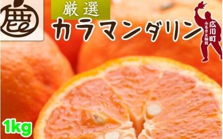 カラマンダリン 1kg+250g（痛み補償分） 厳選 / カラ カラオレンジ カラみかん 南津海 なつみ 高級 和歌山 有田 柑橘 晩柑 ※4月上旬～5月順次発送 ※北海道・沖縄・離島への配送不可 【ikd015-p-1A】