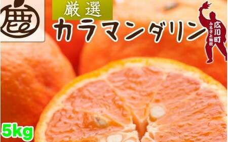 カラマンダリン 5kg+250g（痛み補償分） 厳選 / カラ カラオレンジ カラみかん 南津海 なつみ 高級 和歌山 有田 柑橘 晩柑 ※4月上旬～5月順次発送 ※北海道・沖縄・離島への配送不可 【ikd015-p-5C】