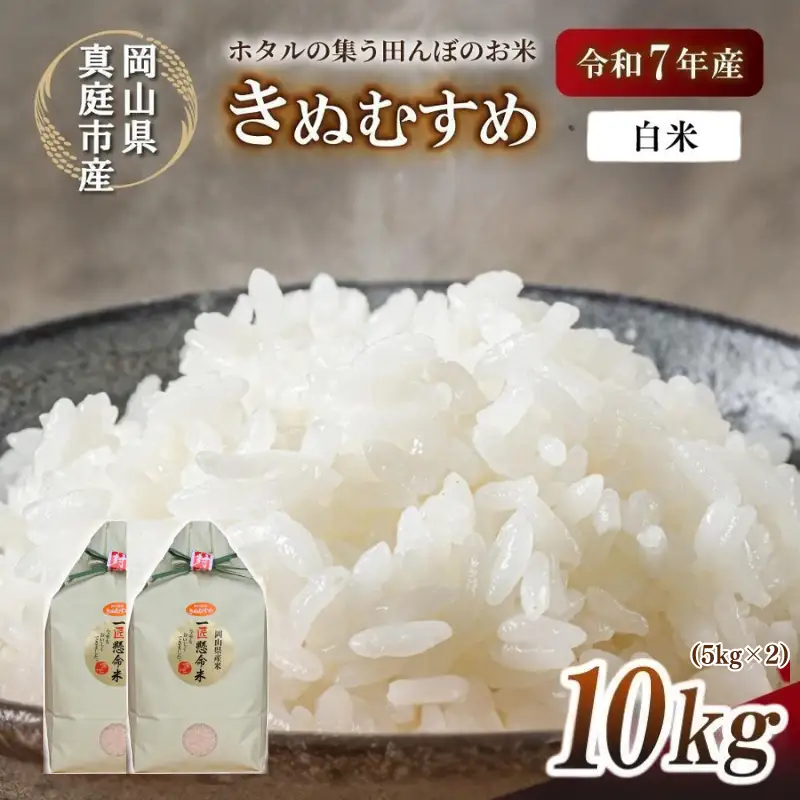 米 岡山県産精米 令和7年産きぬむすめ白米10kg 【tkns006-01-cho】
