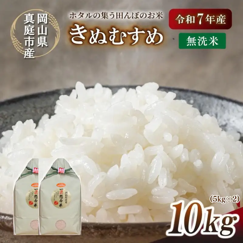 米 岡山県産精米 令和7年産きぬむすめ無洗米10kg 【tkns008-01-cho】