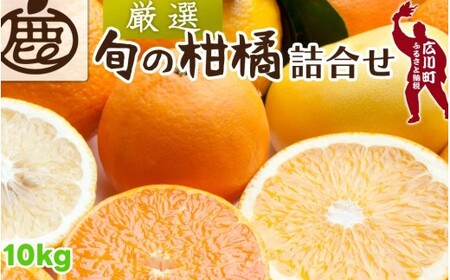 柑橘 詰合せ 10kg+250g（痛み補償分） 厳選 光センサー / 高級 みかん 不知火 清見 八朔 伊予間 セミノール レモン ３種類以上 詰め合わせ 晩柑 ※1月上旬～6月上旬頃に順次発送 ※北海道・沖縄・離島への配送不可 【ikd049-p-10C】
