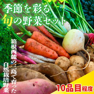季節彩る旬の野菜セット 野菜 やさい サラダ 季節 詰合せ 新鮮 おまかせ 詰め合わせ 10品種前後 収穫 国産 産地直送 静岡県 三島市