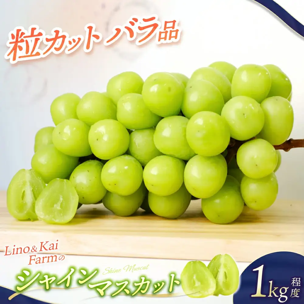 2026年先行予約 Lino＆Kai Farmのシャインマスカット 粒カットバラ品 (1kg程度） ぶどう 岡山 真庭市 シャインマスカット 高級 【linokai003-02】