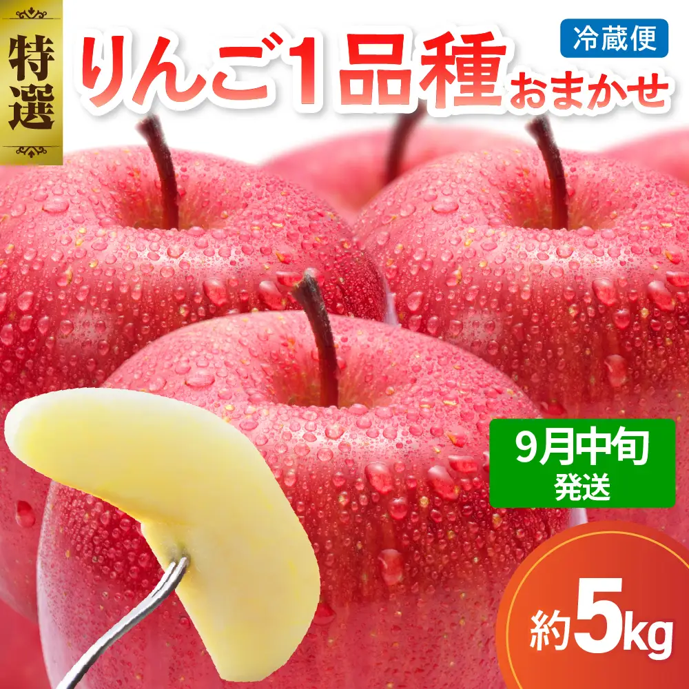 【2026年9月中旬発送】【特選】旬の美味しい りんご 約5kg 青森産 【おまかせ1品種】りんご