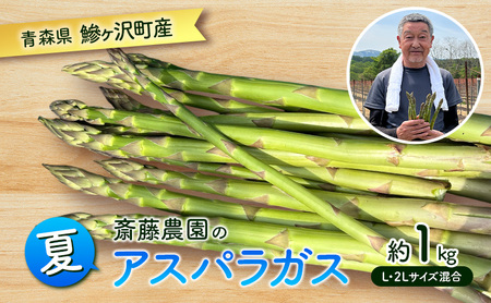 先行予約 2026年 夏アスパラガス 約1kg L～2L 混合 斎藤農園 野菜 アスパラガス 栄養豊富 ほんのり甘い 肉質しっかり あっさりとした食味  おつまみ 料理 お弁当 食材 青森県 鰺ヶ沢町