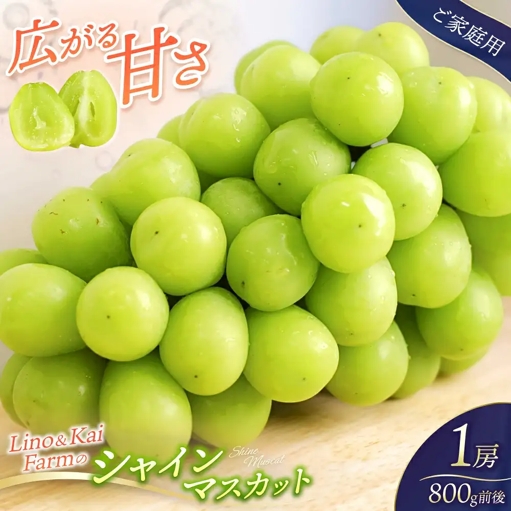 【2026年先行予約】 ご家庭用 Lino＆Kai Farmのシャインマスカット 1房 （約800g）化粧箱入 ぶどう 岡山 真庭市 シャインマスカット 【linokai007-02】