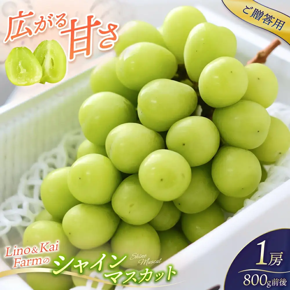 2026年先行予約 ご贈答用 Lino＆Kai Farmのシャインマスカット 1房 （約700～800g） 化粧箱入り ぶどう 岡山 真庭市 シャインマスカット 高級 ギフト 【linokai009-02】