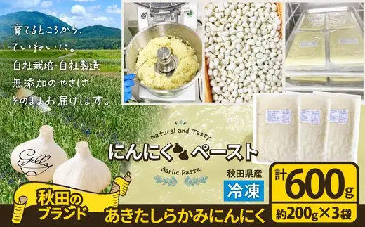 あきたしらかみにんにく 冷凍ペースト 600g（約200g×3袋）　40P3220【 gella】