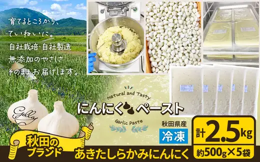 あきたしらかみにんにく 冷凍ペースト 2.5kg（約500g×5袋）　150P3202【 gella】